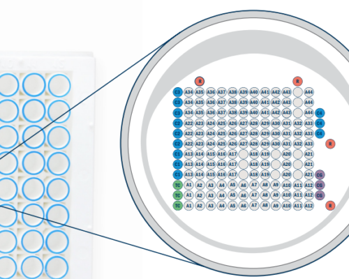 Multiplex Diagnostics Solution